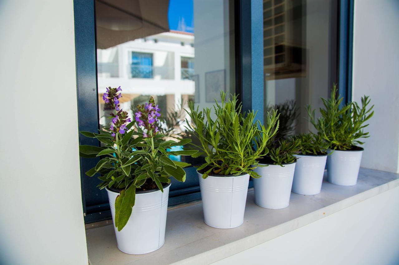 Julipapas Gardens Apartment Paphos Exterior photo